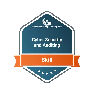 Cyber security and auditing badge