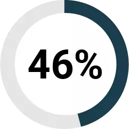 46% grey and blue pie chart