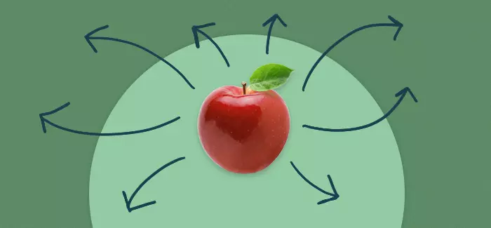 A red apple with arrows pointing in multiple directions to signify a career change for a teacher