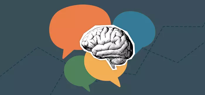 Image of a brain to signify HR with a psychology degree