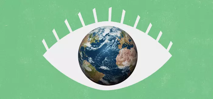 A visualization of a world as a pupil to signify environmental compliance inspector