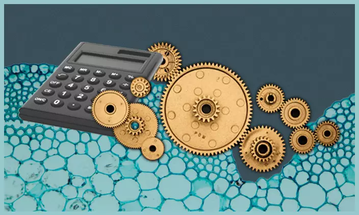 Calculator and cog wheels
