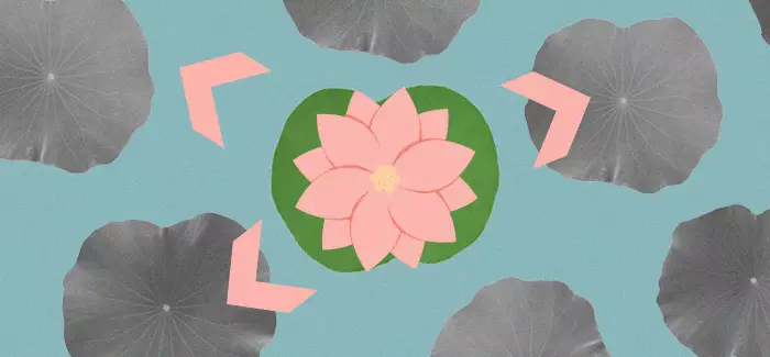 A lotus on a lily pad to signify learning the power of delegation