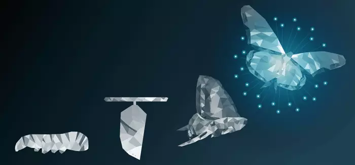 Four stages of a caterpillar turning into a butterfly to represented the change that takes place with scenario-based learning