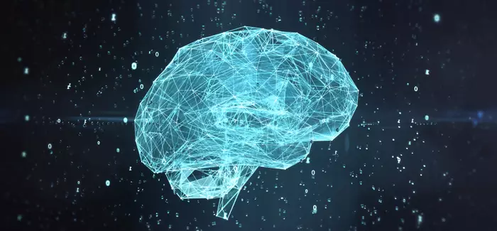 A transparent brain against a night sky to represent AI tools used for training