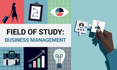 What Can You Do With A Business Management Degree? Careers, Salaries ...