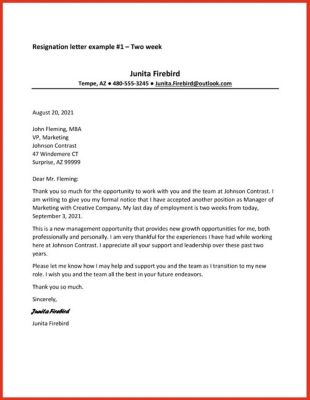 Resignation Letter For Personal Reasons 14 Best Examples 41 OFF   Resignation Letter Example Two Week Updated