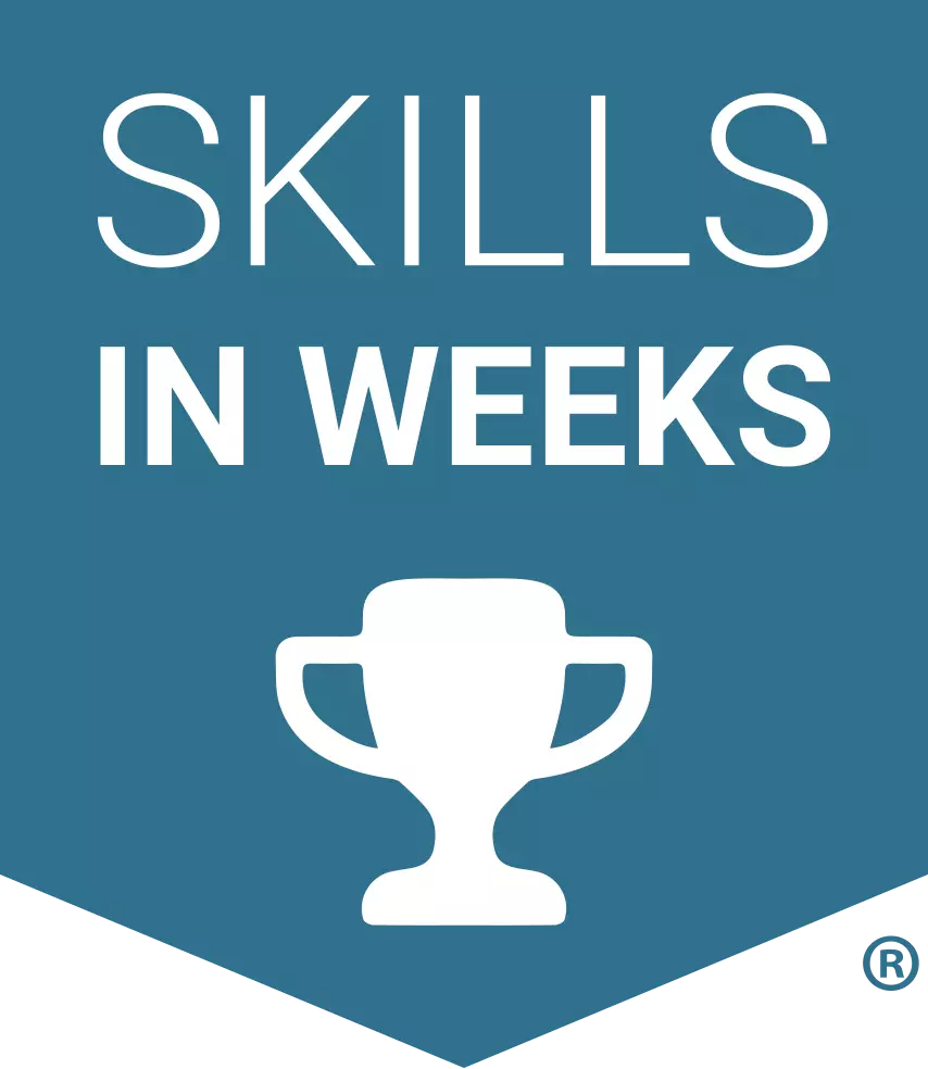 Skills in weeks icon