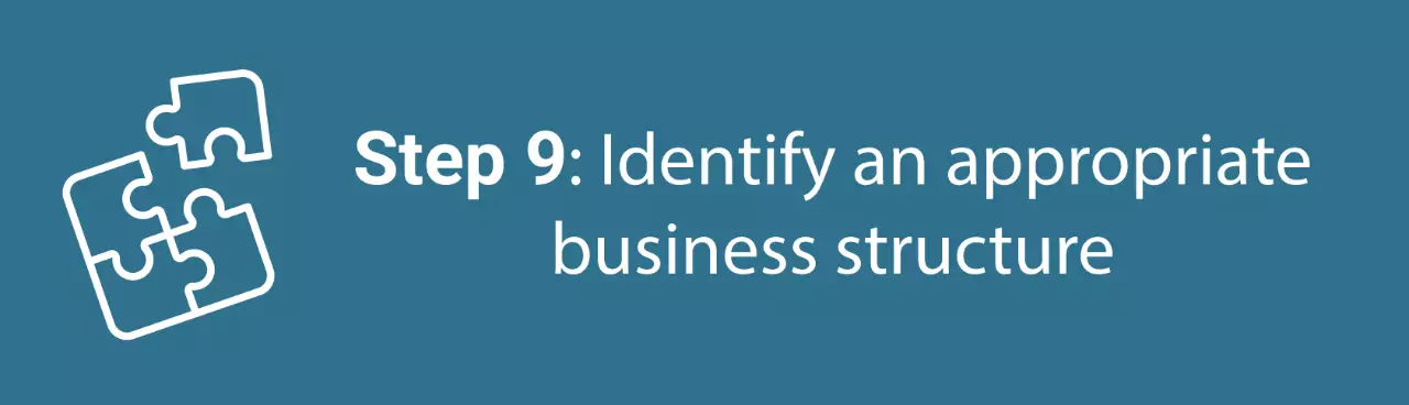 Infographic step nine: Identify an appropriate business structure