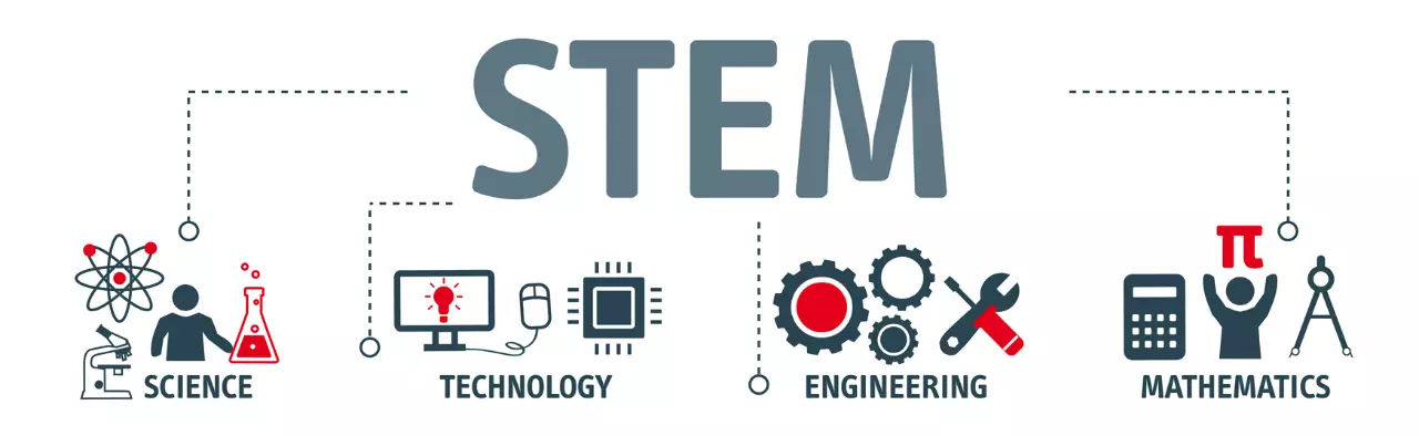 What Does STEM Stand For? Definition, Degrees and More