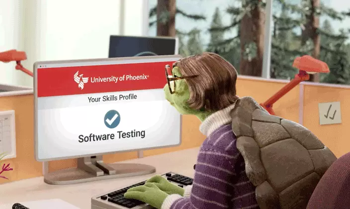 A cartoon turtle sits at a desk using a computer. The screen displays the Ƶ logo and the text "Your Skills Profile" with a checkmark and "Software Testing" beneath it.