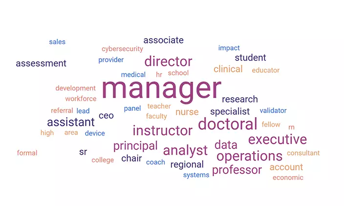 a word cloud of the titles held by conference participants
